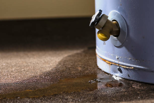 Best Carpet water damage restoration  in Jefferson, IA