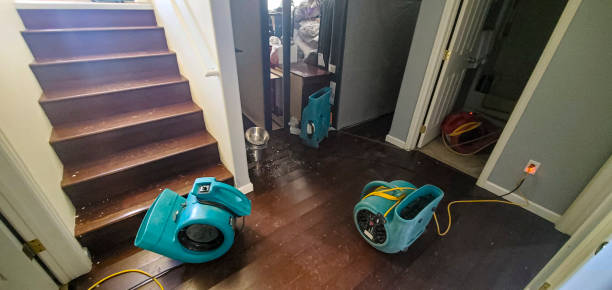 Best Flooded house restoration  in Jefferson, IA