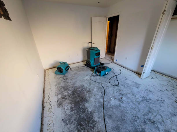 Best Emergency water damage restoration  in Jefferson, IA